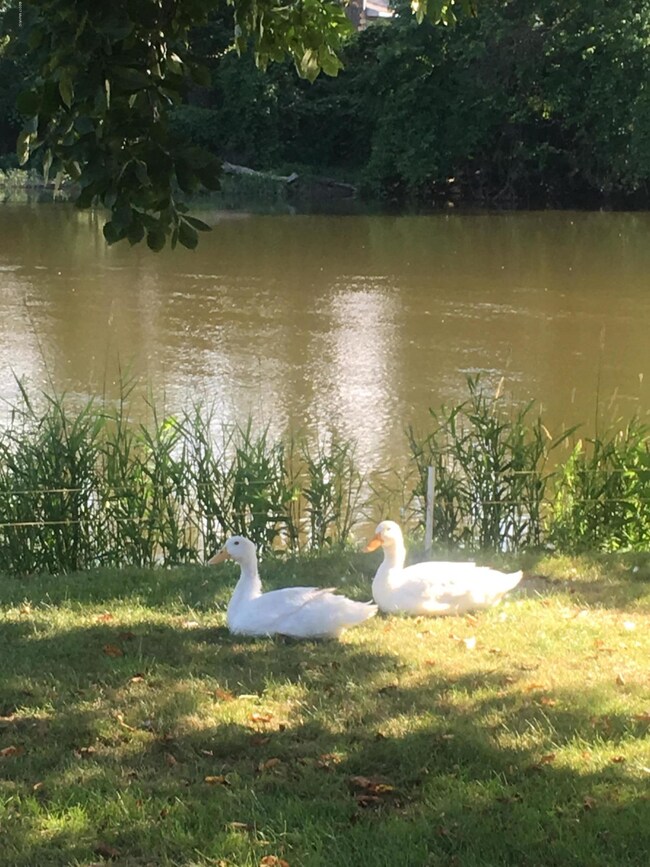 173 E Michigan Ave unit 206A, Three Rivers, MI 49093 - photo 6