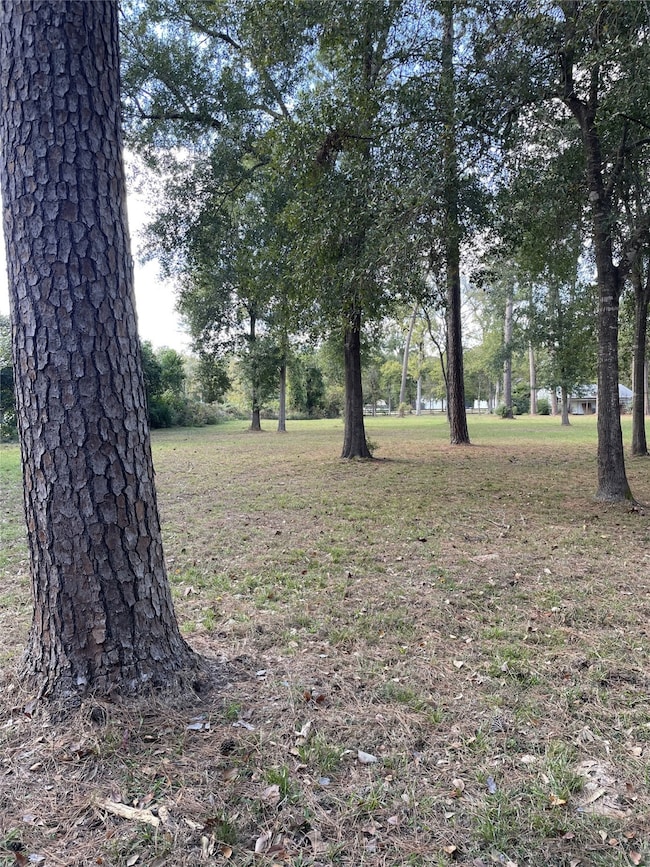 27110 Cherokee Ln, Magnolia, TX 77354 - photo 5