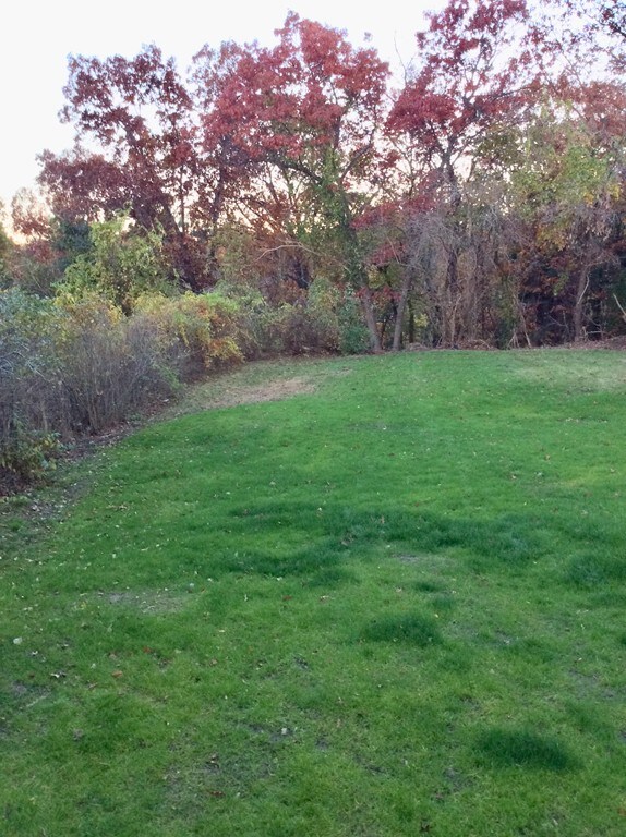 5 Willow St, Clinton, MA 01510 - photo 3