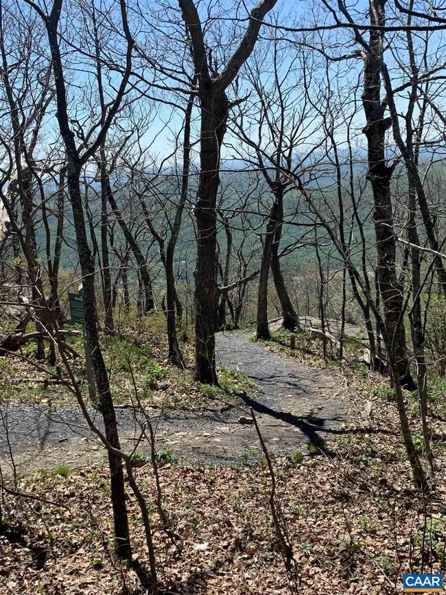 50 Agate Ln unit 41, Rockfish, VA 22967 - photo 4