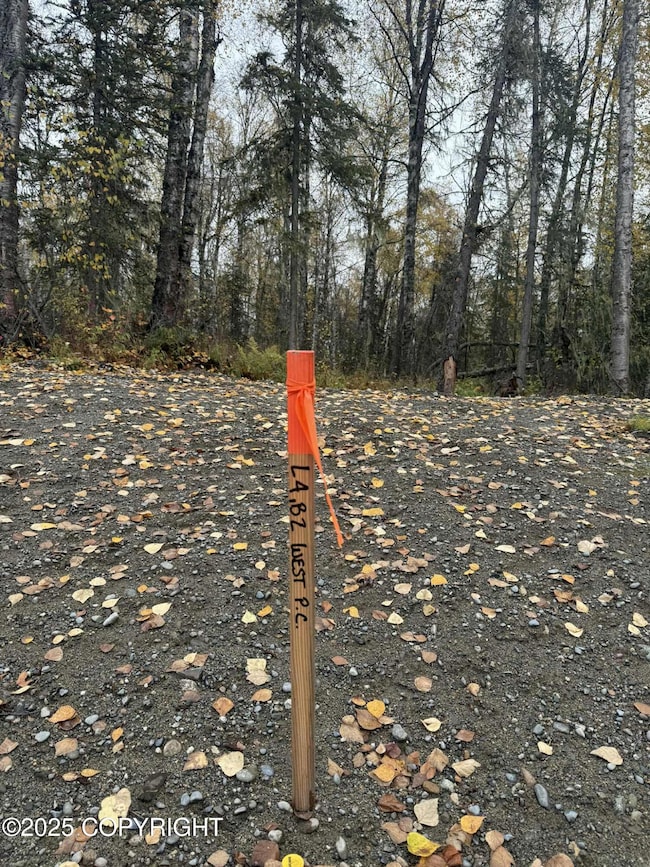 L4 S Lupine Cir, Talkeetna, AK 99676 - photo 4