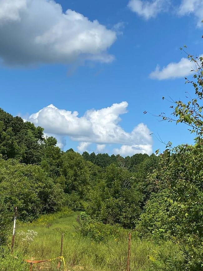 00 Center Point Acres, Walling, TN 38587 - photo 6