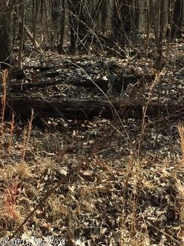 40 Acres County Road 766, Jonesboro, AR 72401 - photo 2