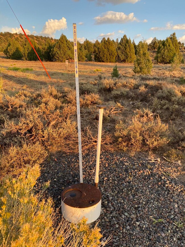 Water to the property