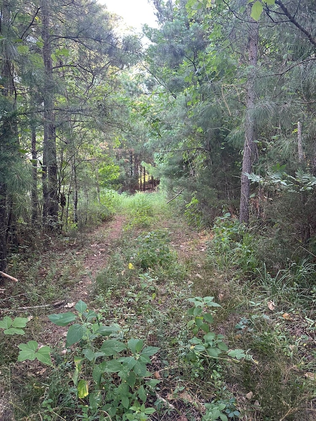 Lot 3a Elberton Hwy, Lincolnton, GA 30817 - photo 4