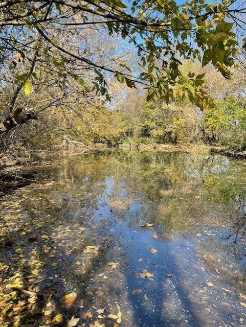 0 Old Nashville Dirt Rd, Shelbyville, TN 37160 - photo 5