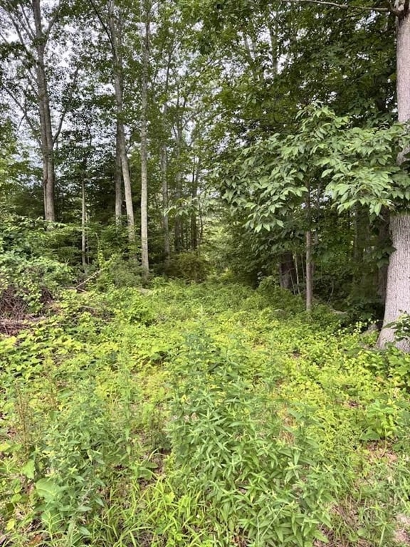 24-A 34-A Dow St, Pepperell, MA 01463 - photo 3