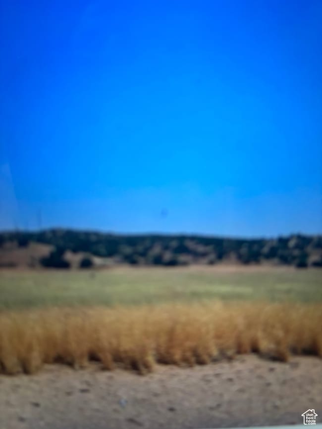 View of undeveloped land featuring rural landscape