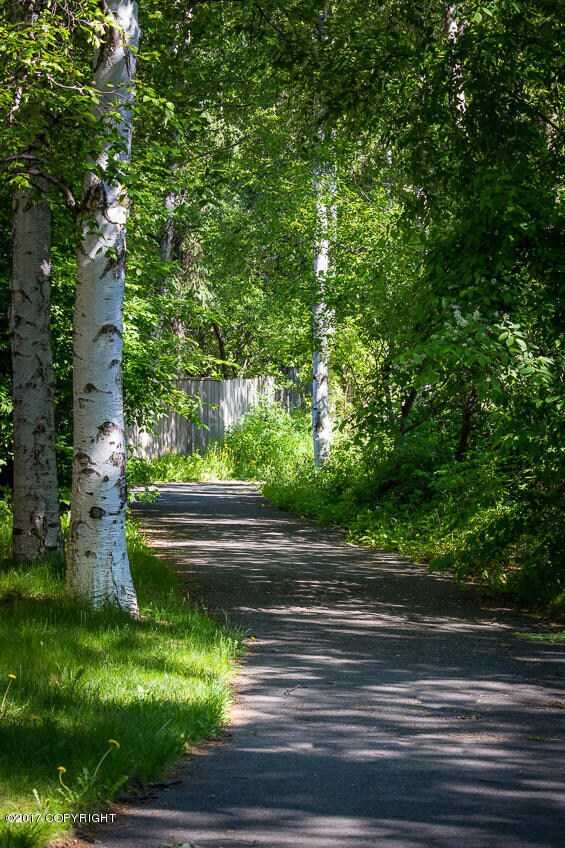 Maintained walking trails
