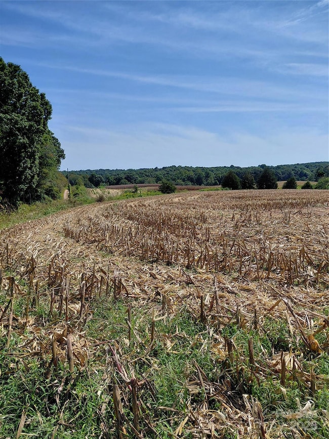 320 Howards Bridge Rd, Union Grove, NC 28689 - photo 4