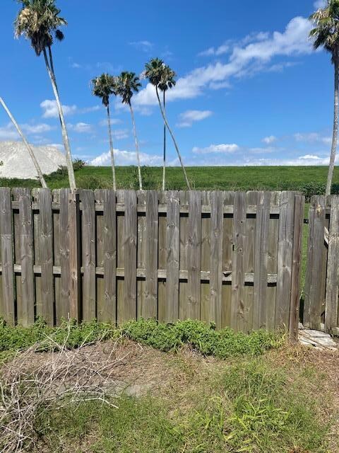 back yard