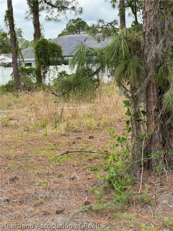 612 Concert Dr, Lake Placid, FL 33852 - photo 4