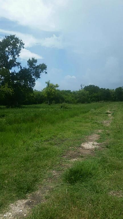 0 Spell Rd unit 24617537, Needville, TX 77461 - photo 6