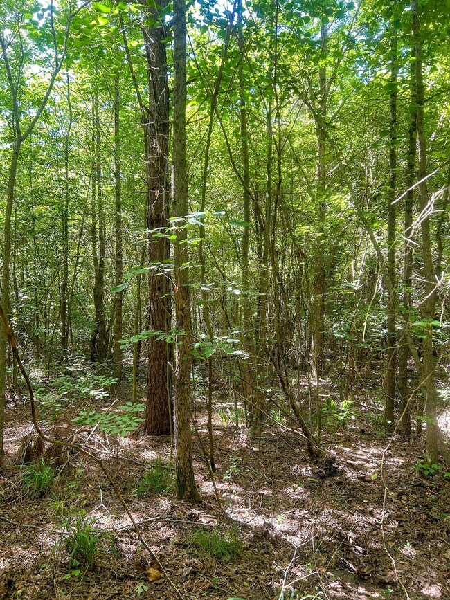 855 Hempstead 56, Hope, AR 71801 - photo 6