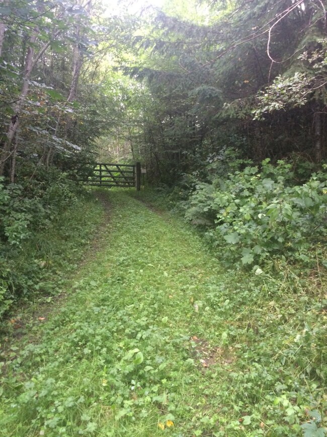 123 Center Rd, Quilcene, WA 98376 - photo 2