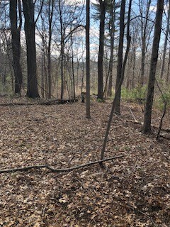 268 Greenville Rd, North Smithfield, RI 02896 - photo 4