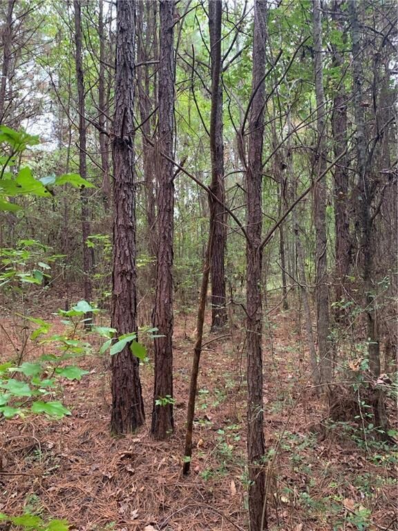 29272 Old Columbia Rd, Franklinton, LA 70438 - photo 4