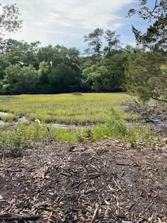 123 Killgriffe, Saint Simons Island, GA 31522 - photo 6