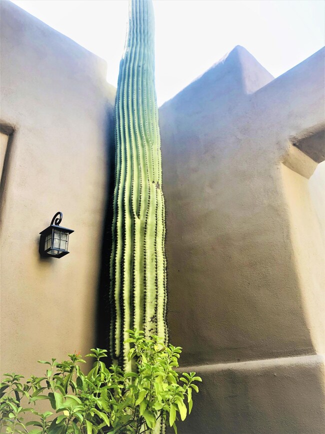 Front Courtyard