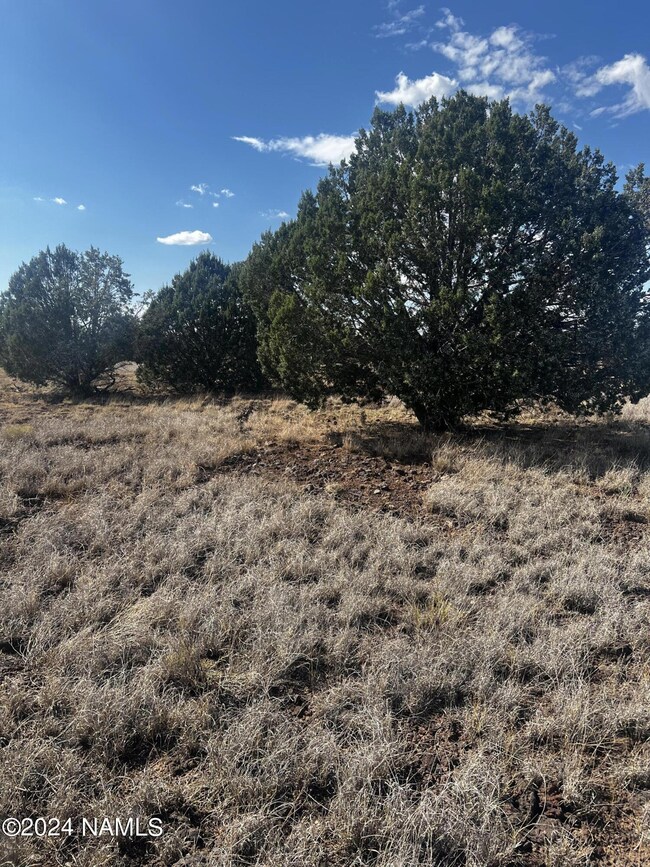 3101 W Yukon Dr unit 671, Ash Fork, AZ 86320 - photo 3