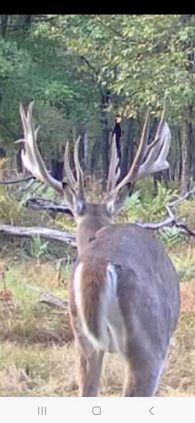 9283 9283 unit N Willow Ave., Bitely, MI 49309 - photo 3