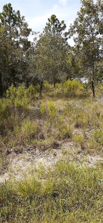 Lot  5 Convent Garden Rd, Weeki Wachee, FL 34613 - photo 3
