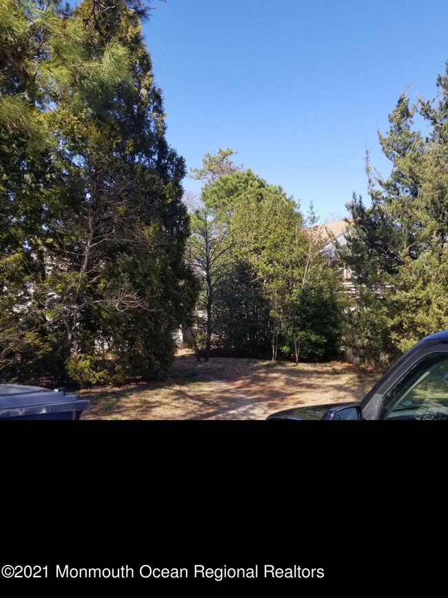 yard