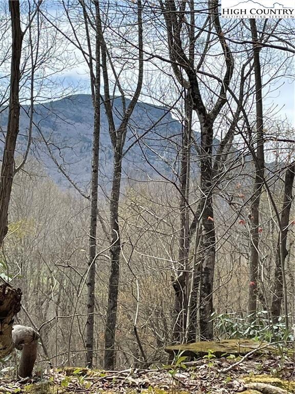 TBD Tract #7, Banner Elk, NC 28604 - photo 2