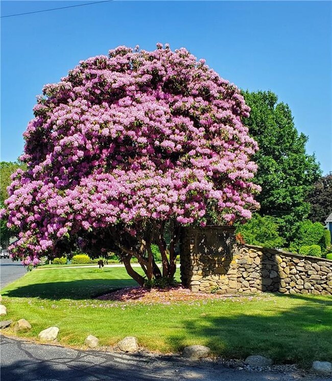 45 Crosswynds Dr, Saunderstown, RI 02874 - photo 6