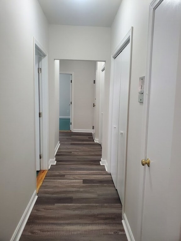 314 Fuller St unit 1, Boston, MA 02124 - photo 6