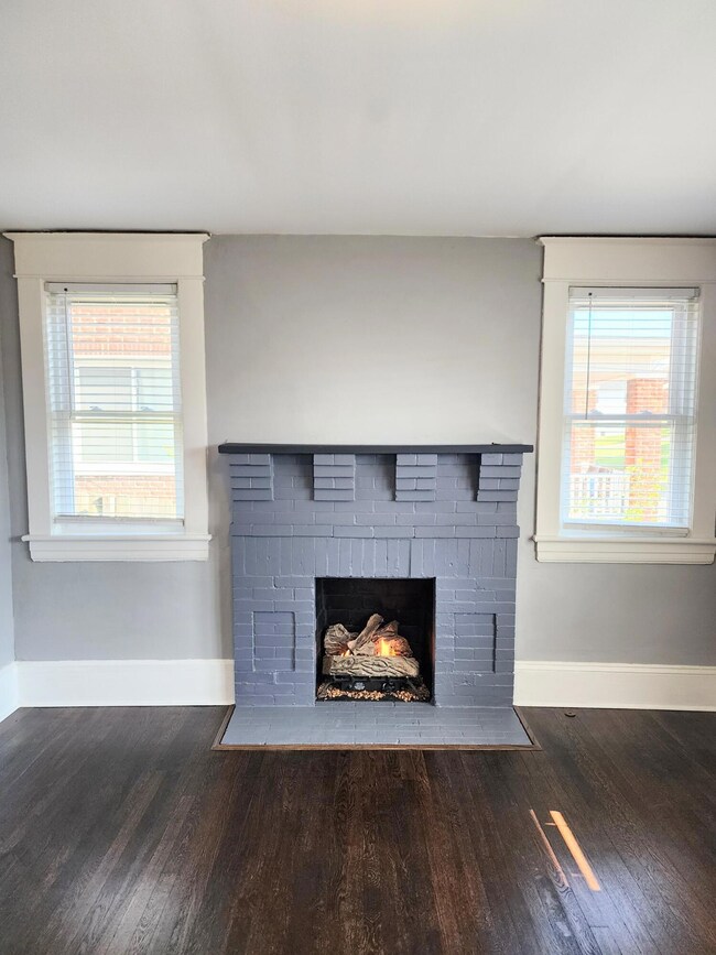 Gas Logs in Masonry FP