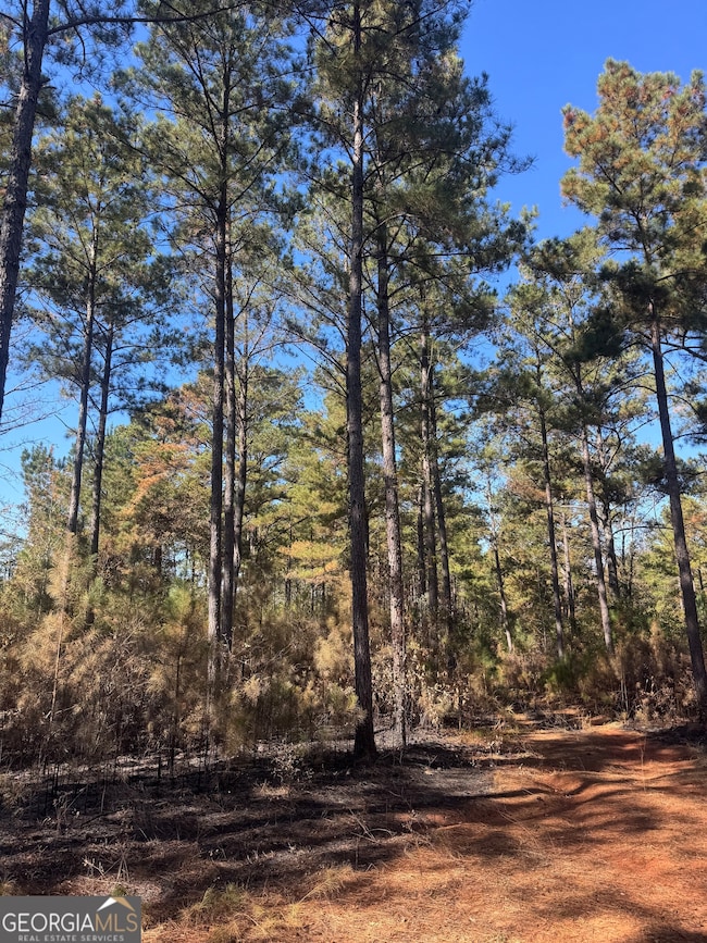 131 W Drummond Rd, West Point, GA 31833 - photo 5