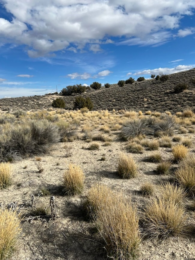 N/A Grant Ave, Spring Creek, NV 89815 - photo 3