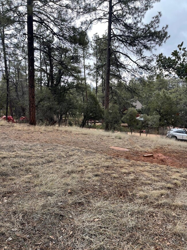 173 Hunt Dr, Pine, AZ 85544 - photo 5