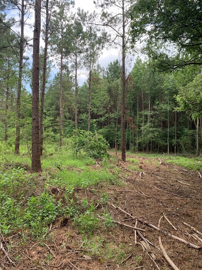 000 Dinan Salem Rd, Tylertown, MS 39667 - photo 2