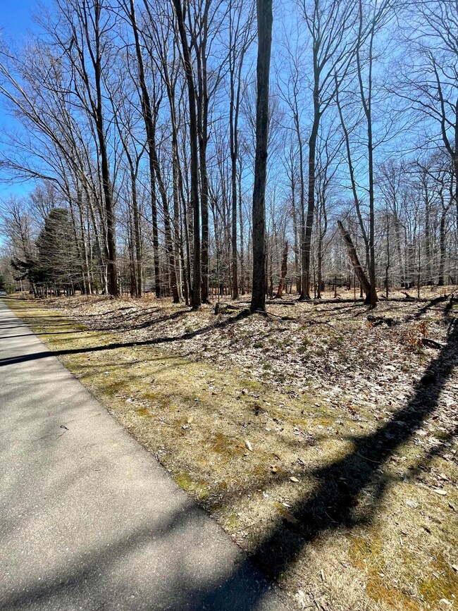 0 W Nanninga Dr unit 19, Ludington, MI 49431 - photo 6