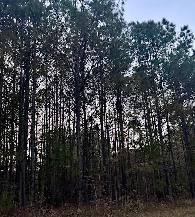 3230 Steadman Rd unit 265, Tallapoosa, GA 30176 - photo 3