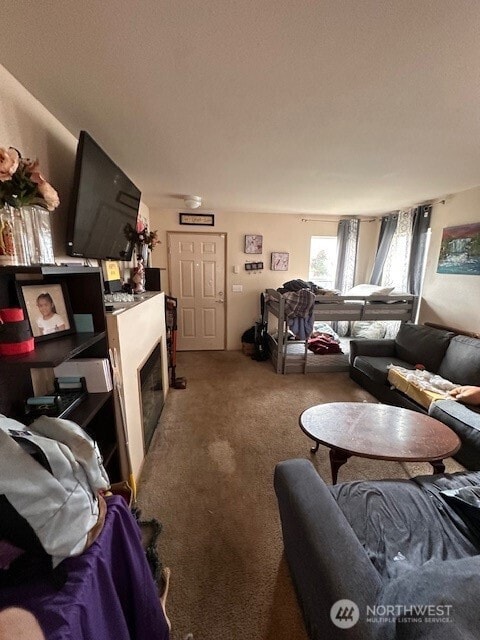 14912 99th Way SE, Yelm, WA 98597 - photo 4