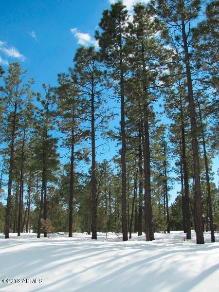 arizona_mountain_pines_property_acreage_