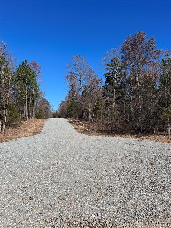 19723 Friendship Dr, Raymondville, MO 65555 - photo 7