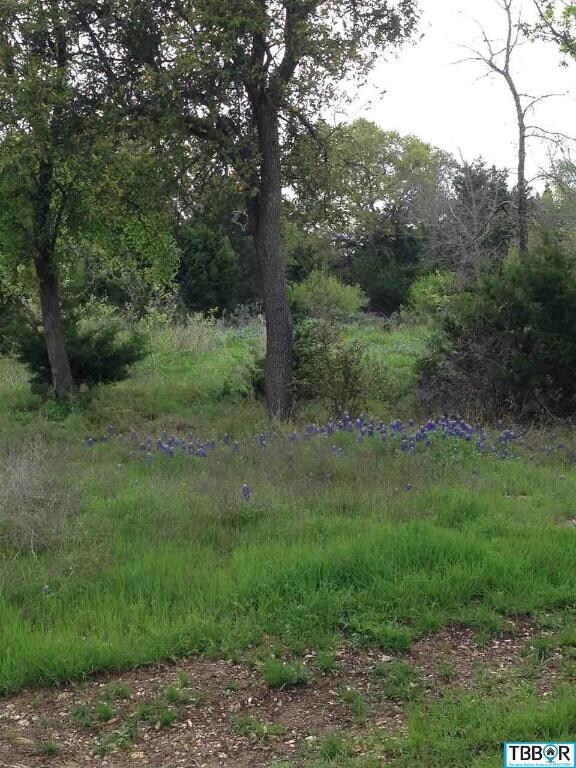 0 Kuykendall Mountain Rd unit 9112864, Temple, TX 76502 - photo 7