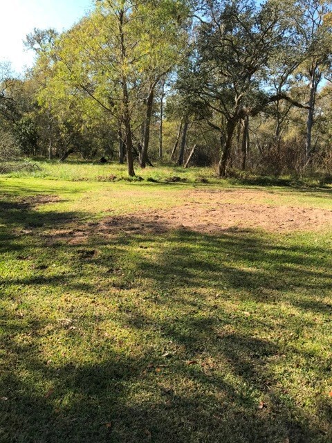 6353 County Road 659, Brazoria, TX 77422 - photo 6