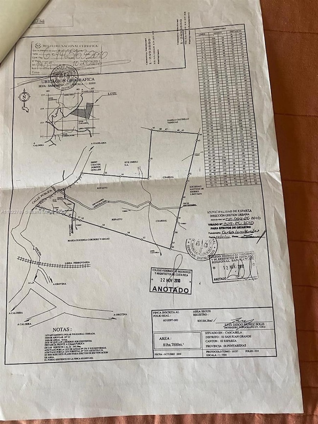 SAN JUAN GRANDE La Cascabela, Evanston, IL 60202 - photo 6