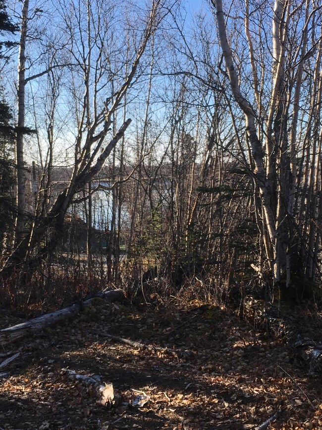 Views to the North