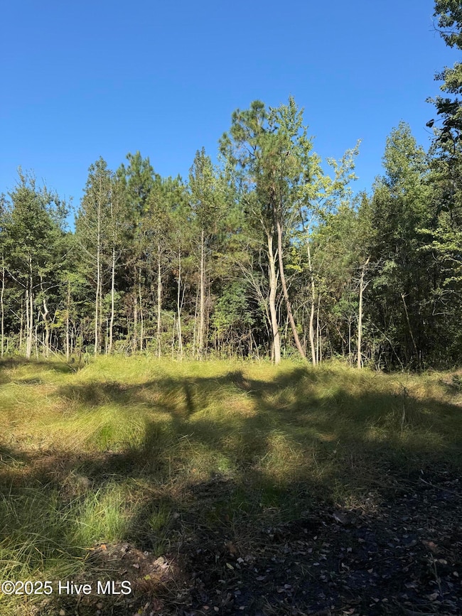 Off Earl Price Rd, Deep Run, NC 28525 - photo 7