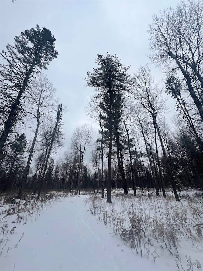 2260 Highway 44, Brimson, MN 55602 - photo 3