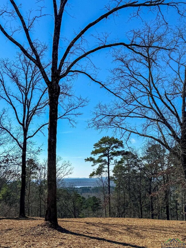 View of mountain feature with a view of trees