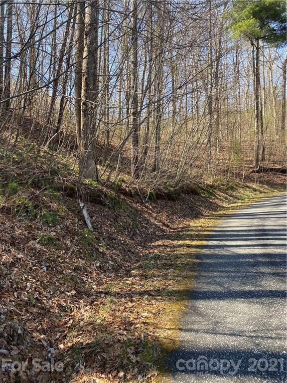 Lot 7 Riverside Hills Rd unit 7, Burnsville, NC 28714 - photo 4