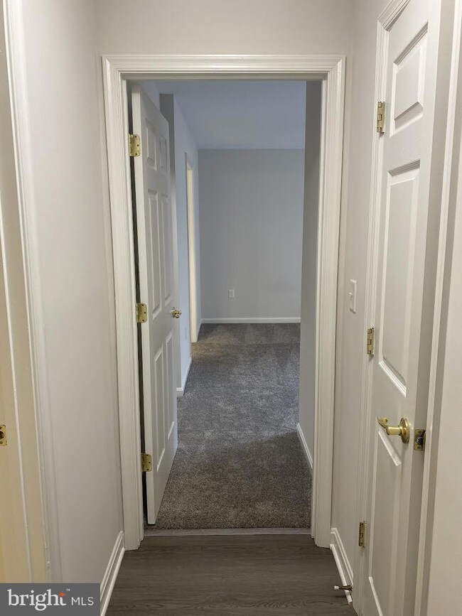 302 Baughmans Ln unit F, Frederick, MD 21702 - photo 6