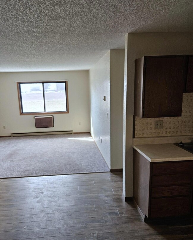 511 Carolina Ave unit 4, Hoffman, MN 56339 - photo 4